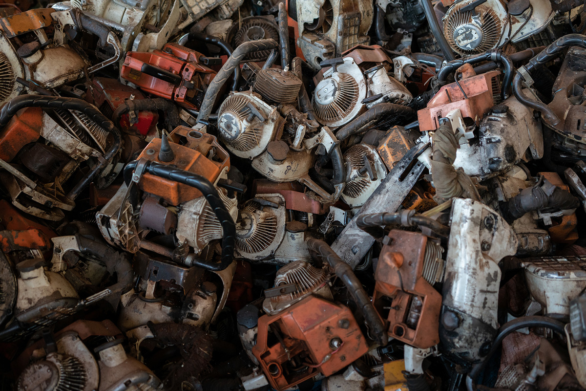 Chainsaws Used for Illegal Logging