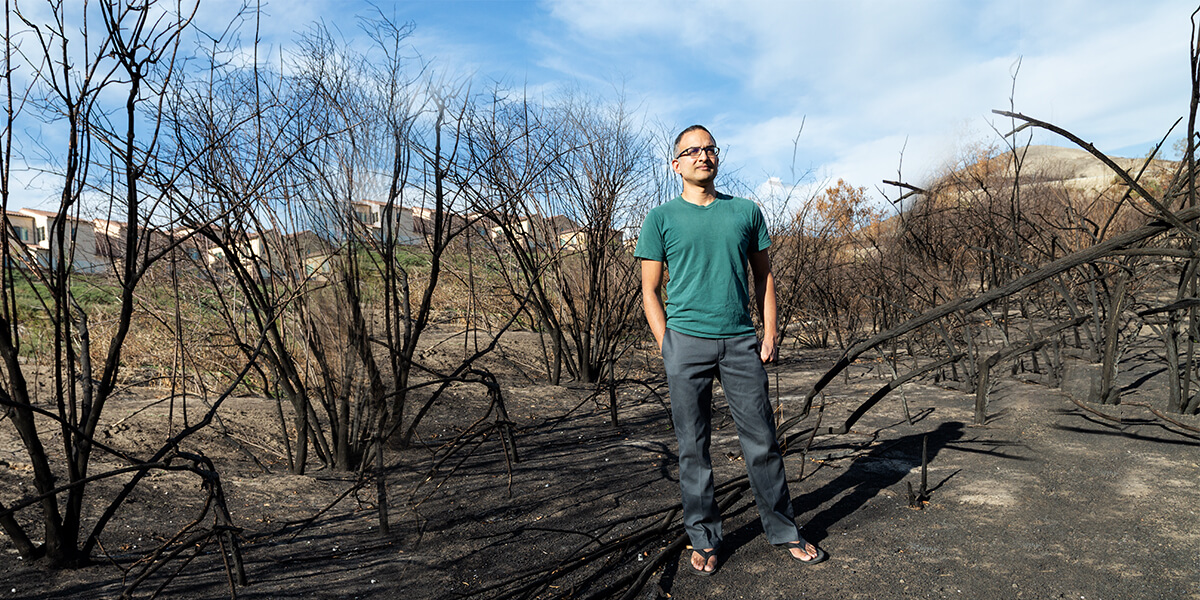 Fighting Fire with…Bananas? - USC Viterbi | Magazine