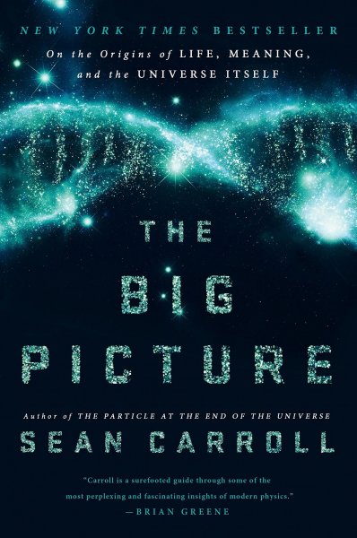 The cover of "The Big Picture" by Sean Carroll. The cover features a string of DNA that looks like it is made up of stars and other celestial forms.